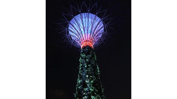 singapore garden sky