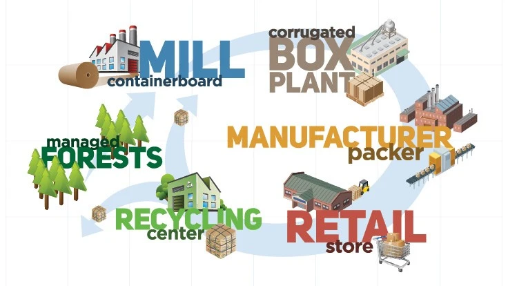 pca containerboard cycle