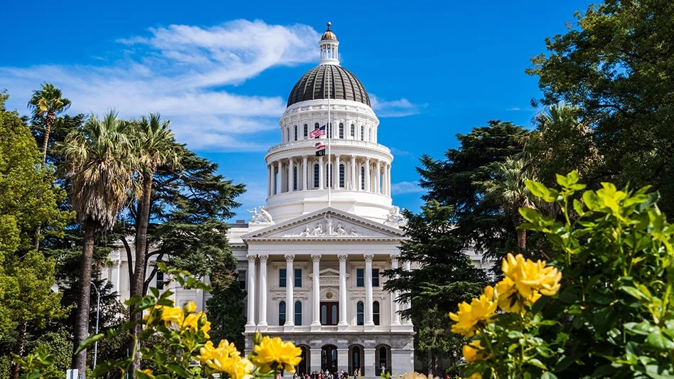 white capitol building against blue sky with yellow flowers in the foreground