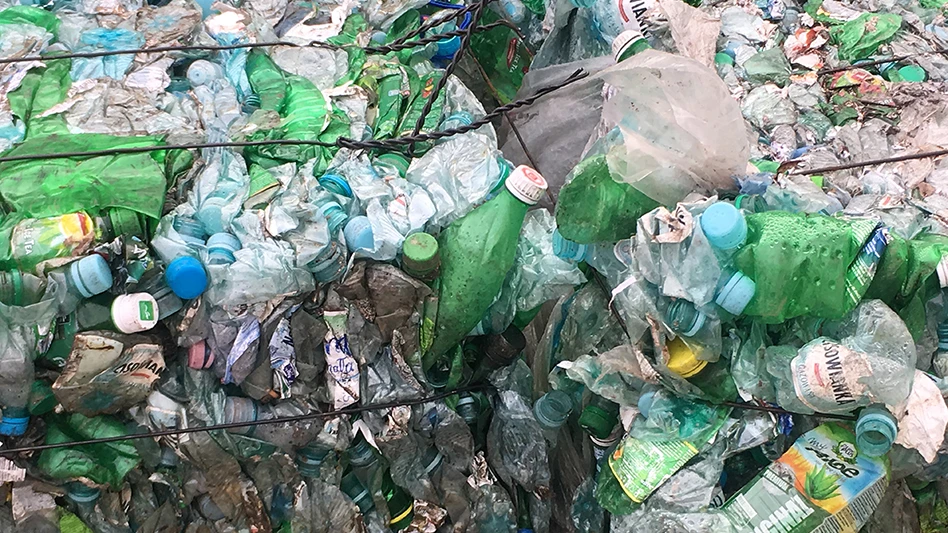 plastic pet recycling