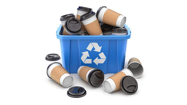 paper coffee cups in a blue bin