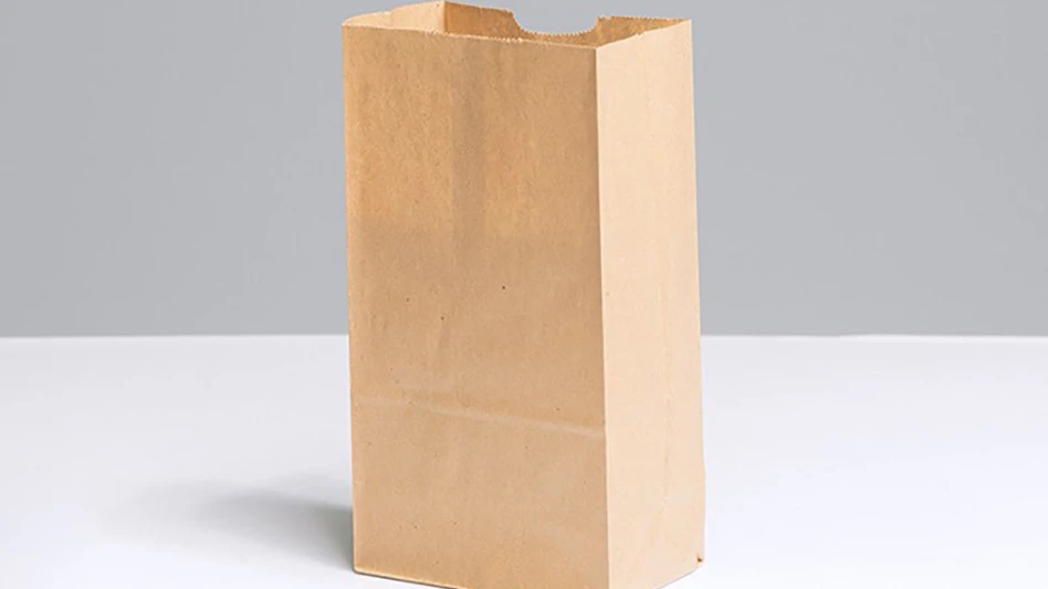 inteplast paper bag